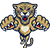 FLORIDA PANTHERS