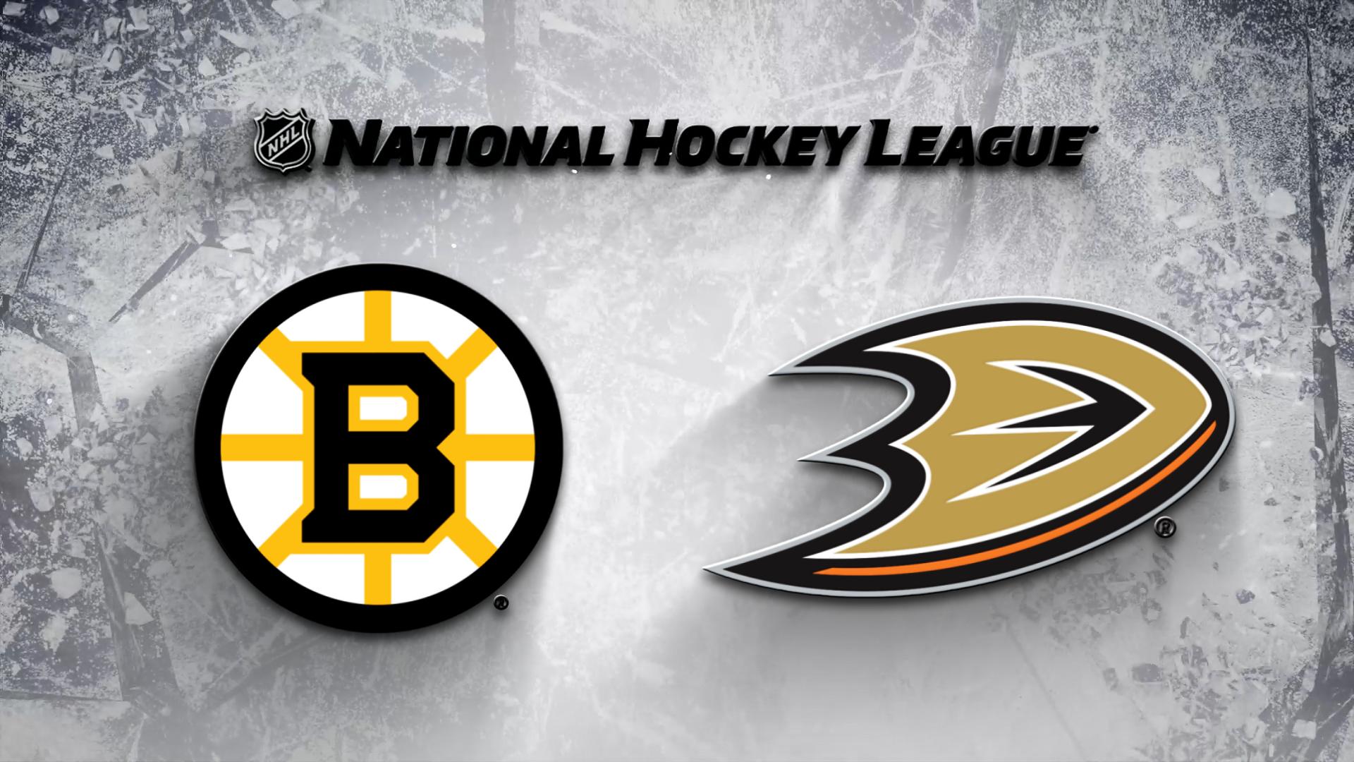 Anaheim Ducks vs. Boston Bruins